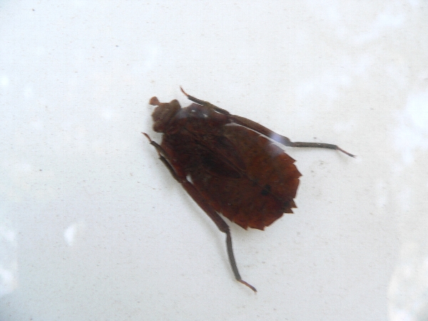 e0002314_23573662.jpg