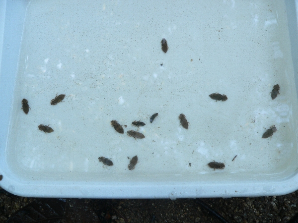 e0002314_23574985.jpg