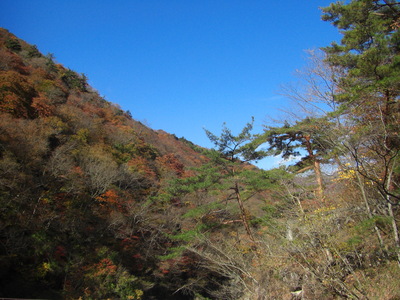 c0074721_16384478.jpg