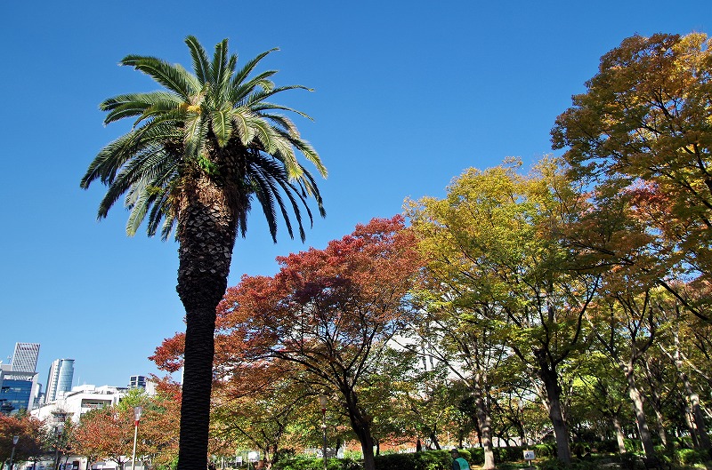 e0184921_0302429.jpg