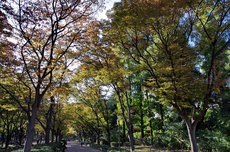 e0184921_0303615.jpg