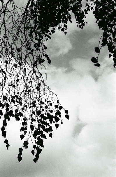 f0182924_2227566.jpg