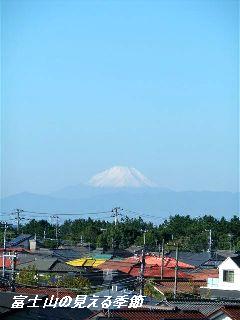 b0102728_1322596.jpg
