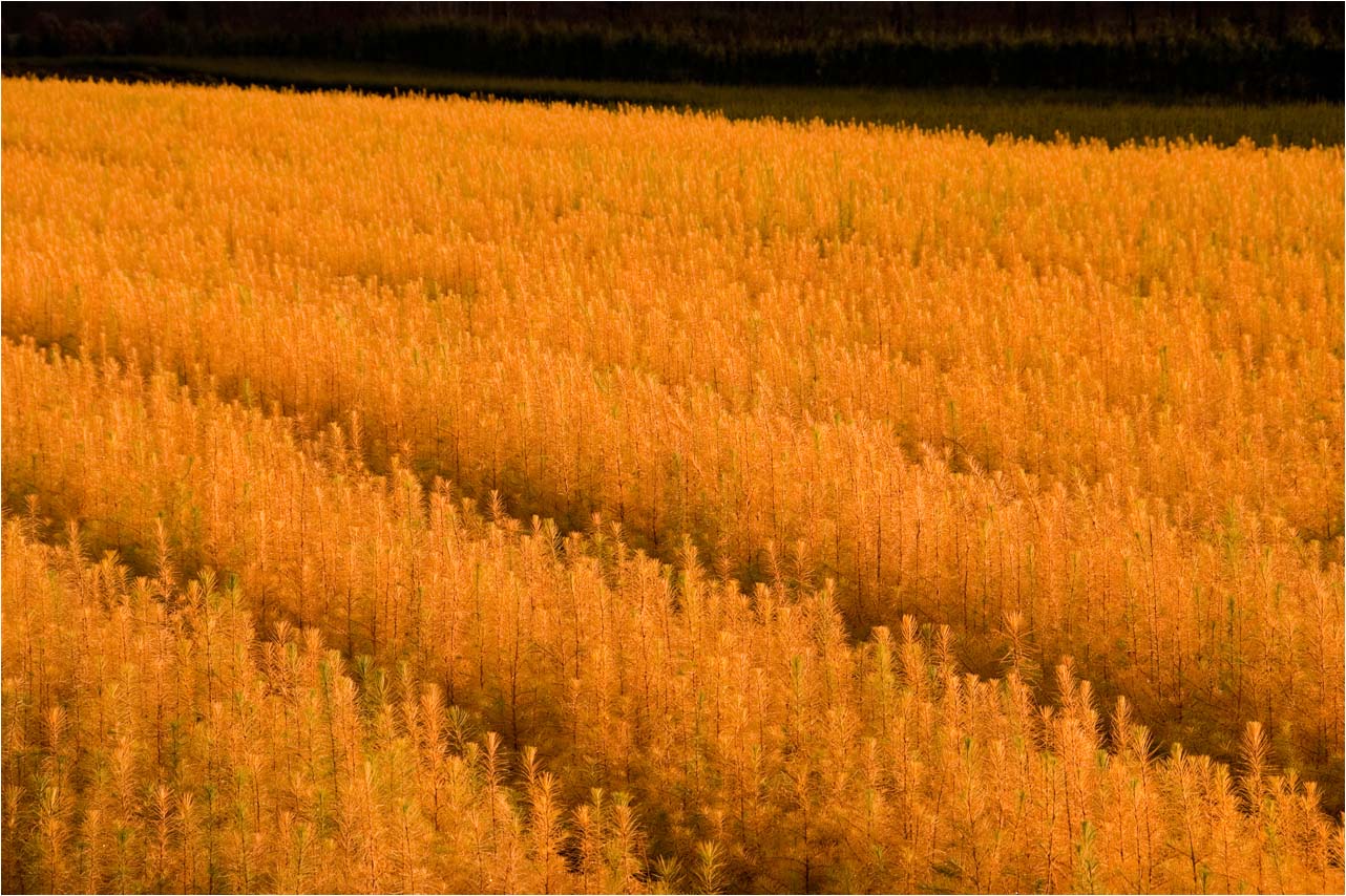 a0245331_1920097.jpg