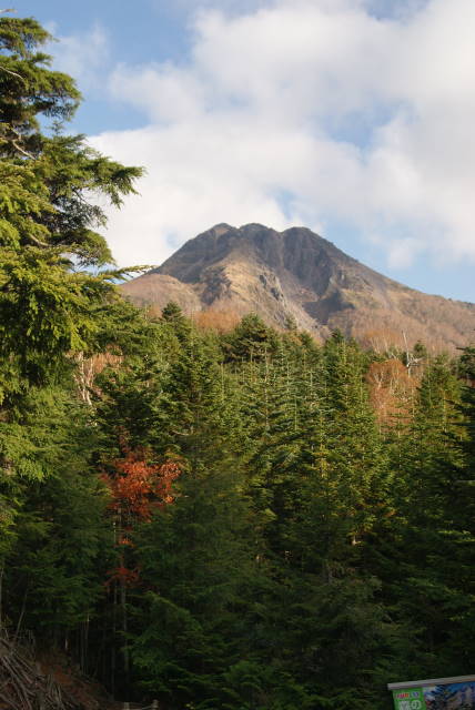 b0117437_15364646.jpg