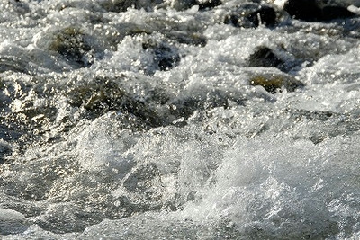 f0124737_8273765.jpg