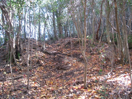 c0077338_20134697.jpg