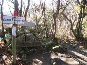 c0077338_20135958.jpg