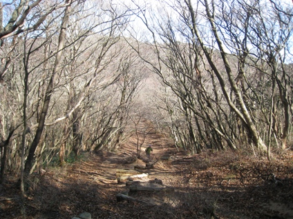 c0077338_201412100.jpg
