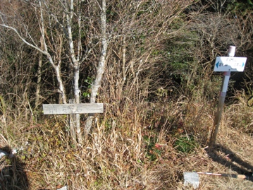c0077338_20143614.jpg
