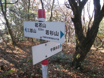 c0077338_20145915.jpg