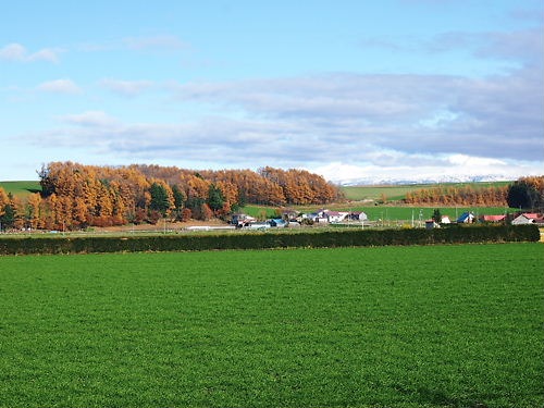 e0022839_2304279.jpg