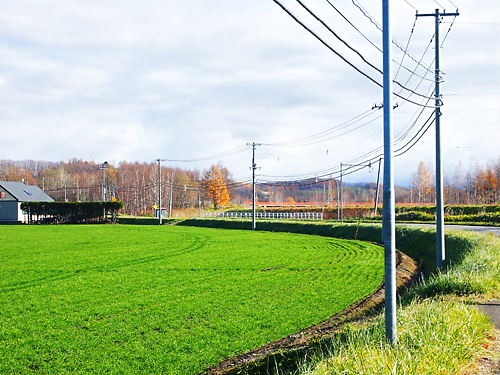 e0022839_2305988.jpg