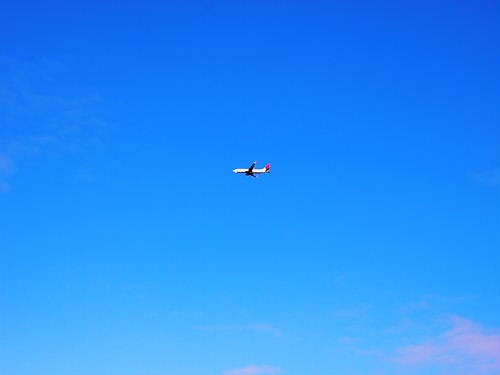 e0022839_23103494.jpg