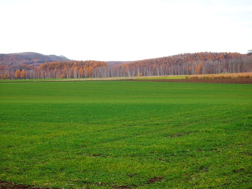e0022839_23162592.jpg