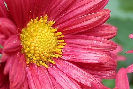 a0243143_11464855.jpg