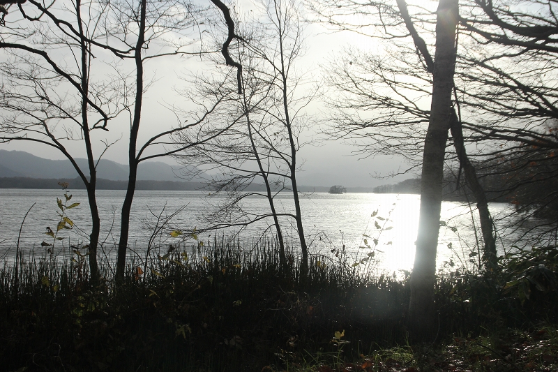 b0250154_21283512.jpg