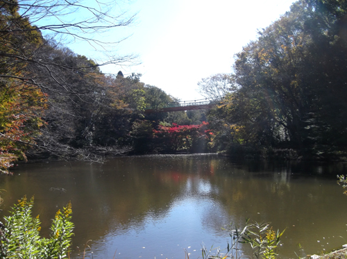 b0045357_14235156.jpg