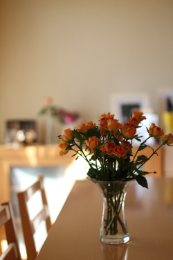 f0214858_17105975.jpg