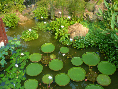 c0089360_22233182.jpg