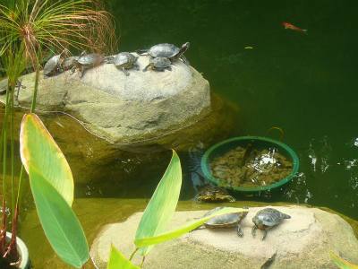 c0089360_22235153.jpg