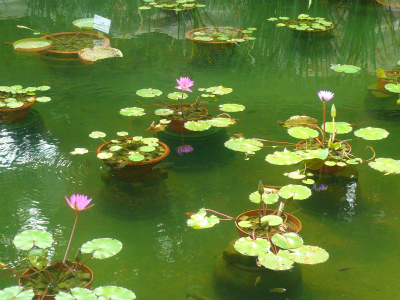 c0089360_2227113.jpg