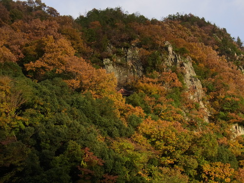 a0187861_2553830.jpg