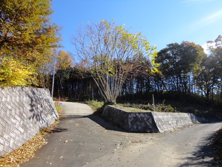 d0152765_19215579.jpg