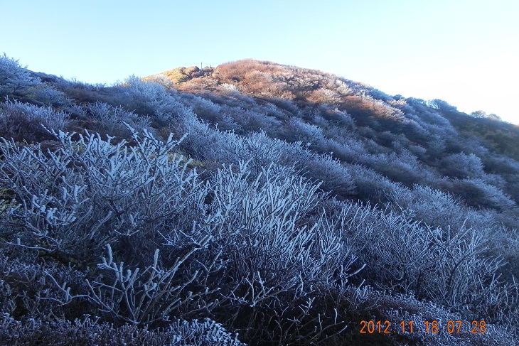 f0016066_19105525.jpg