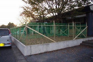 e0160568_1562792.jpg