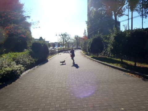 f0047773_21241726.jpg