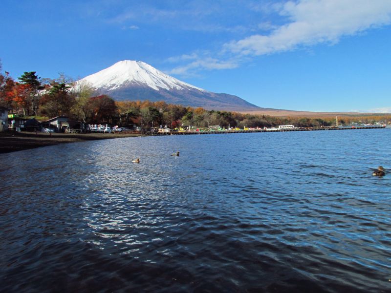 c0183777_6173363.jpg