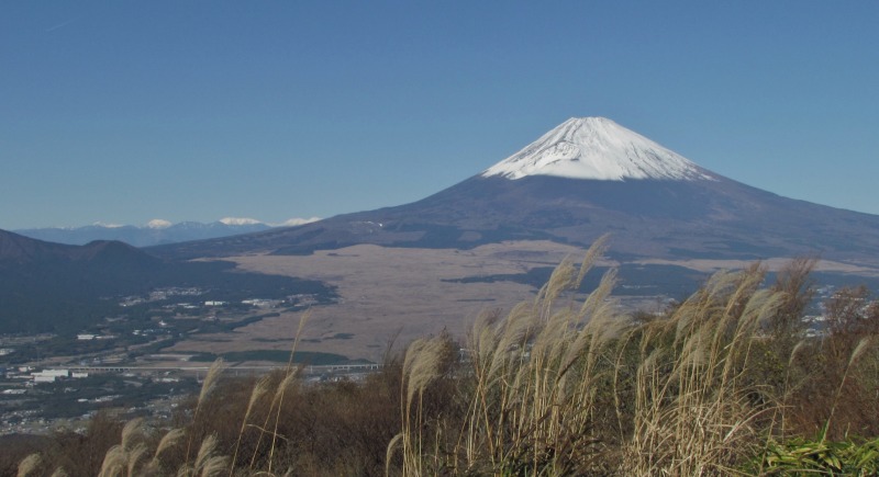 c0183777_6472859.jpg