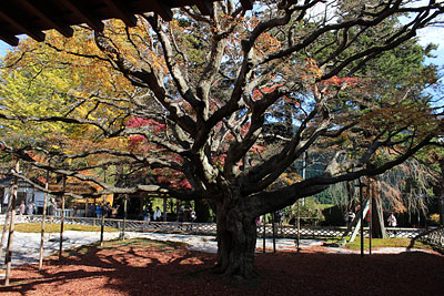 c0152779_2154989.jpg