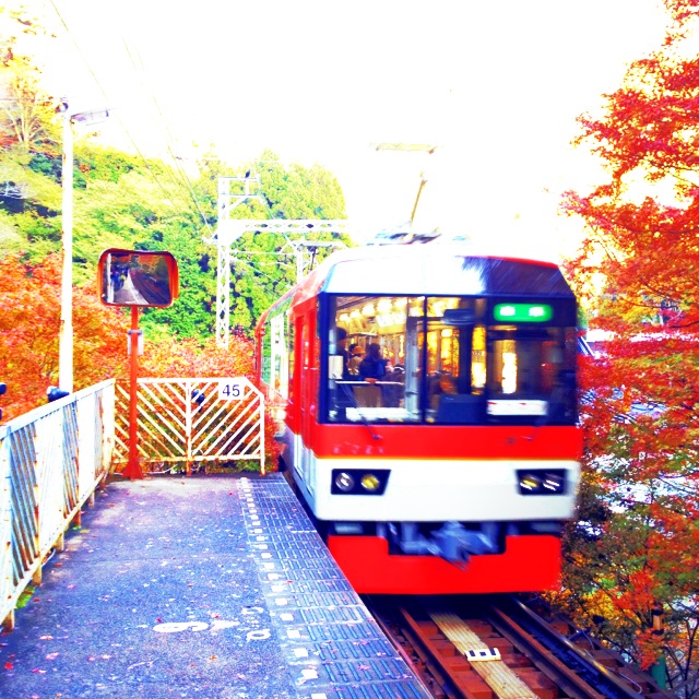 f0167281_18321157.jpg