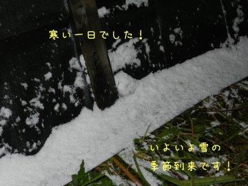 f0205887_18414765.jpg