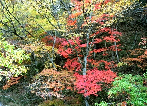 e0143690_21491299.jpg