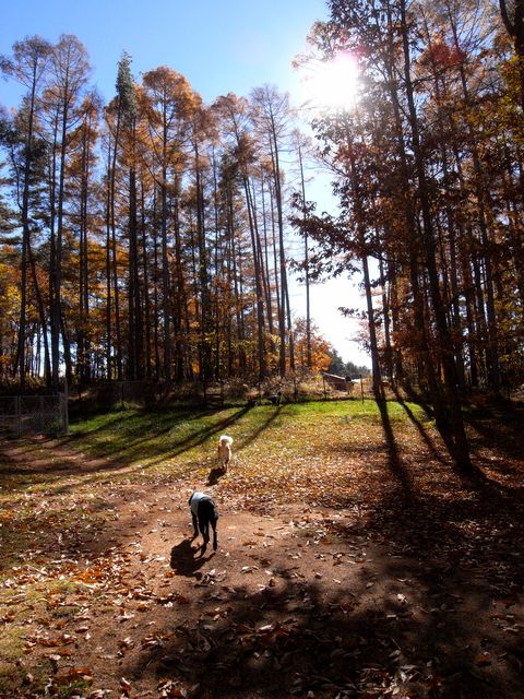 a0093592_11191183.jpg