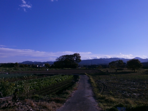 d0000995_21553795.jpg