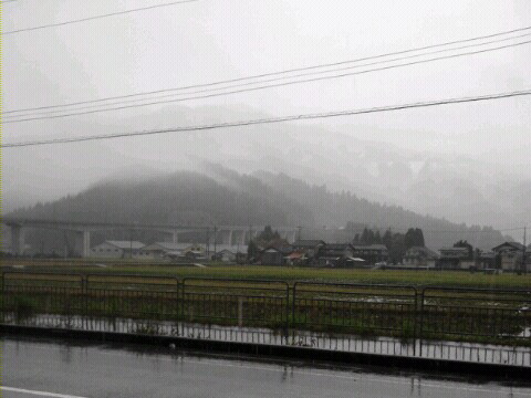 d0250395_1750074.jpg