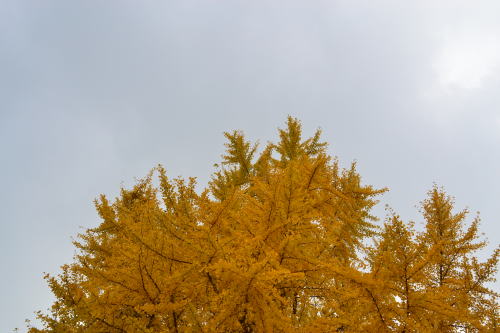 e0017396_23363028.jpg