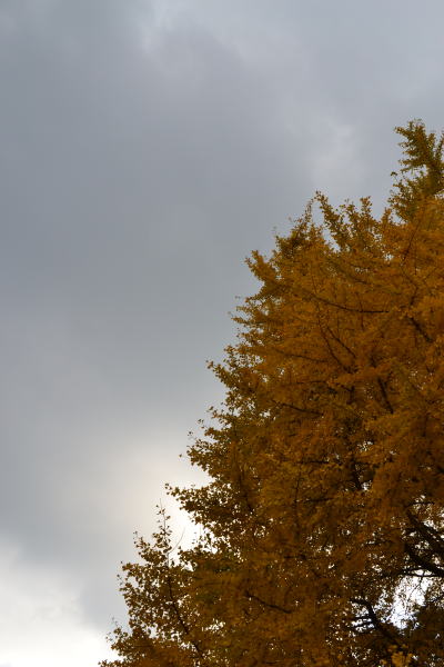e0017396_23365946.jpg