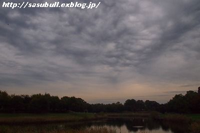 e0145805_19115758.jpg