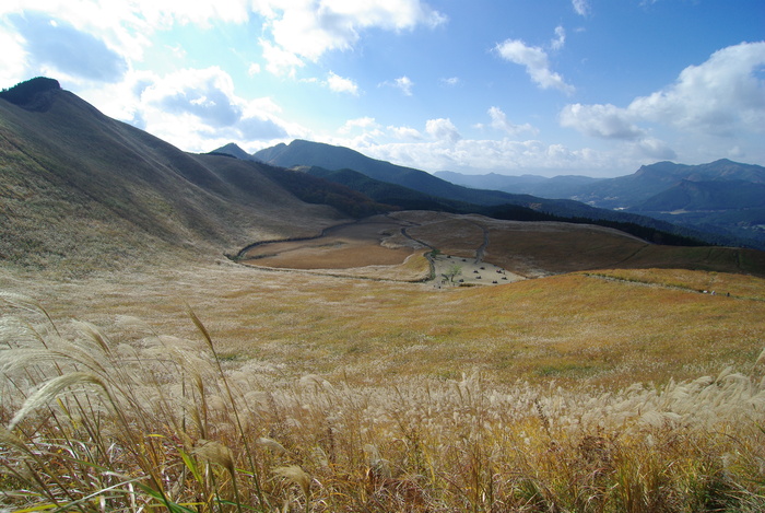 f0195813_11545324.jpg