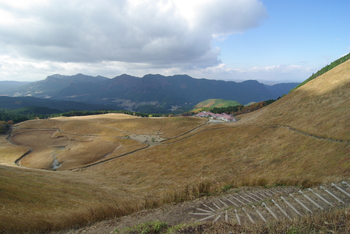 f0195813_1213773.jpg