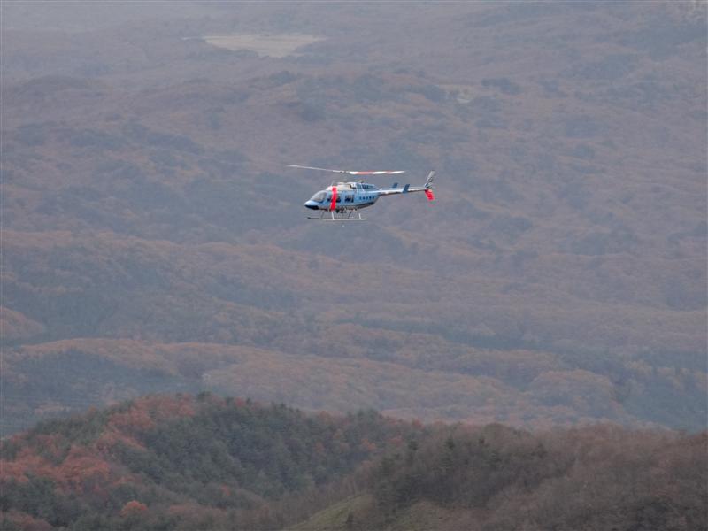 a0127015_20331878.jpg