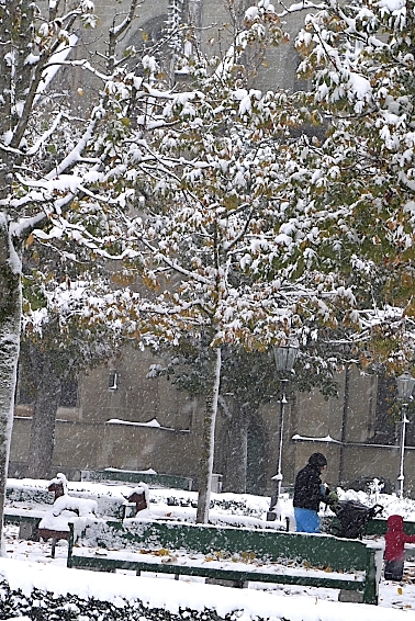 e0157816_1045668.jpg