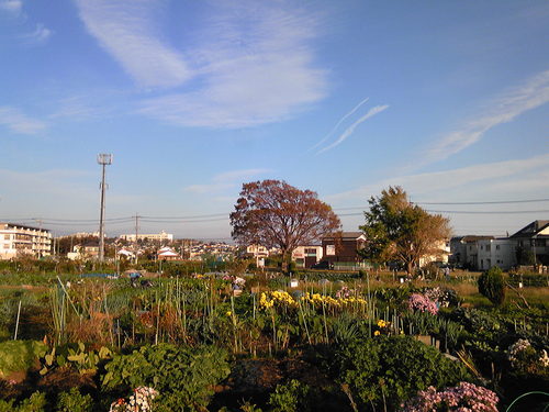 b0285619_18382061.jpg