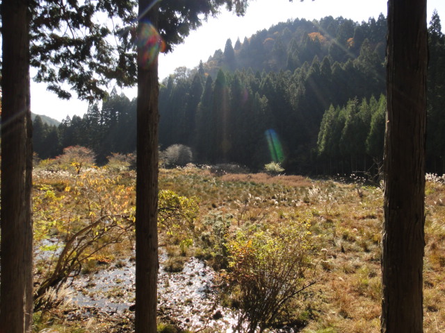 c0189724_1895475.jpg