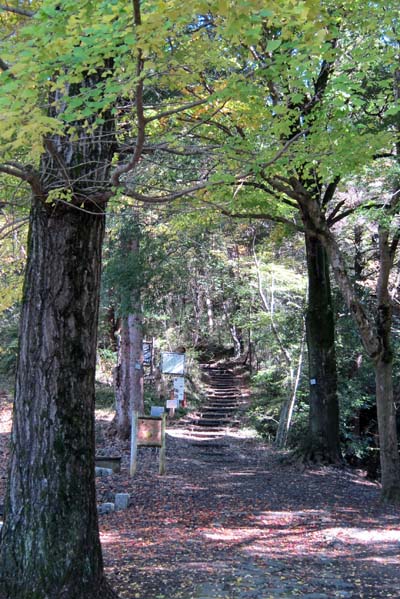 f0147025_14544630.jpg